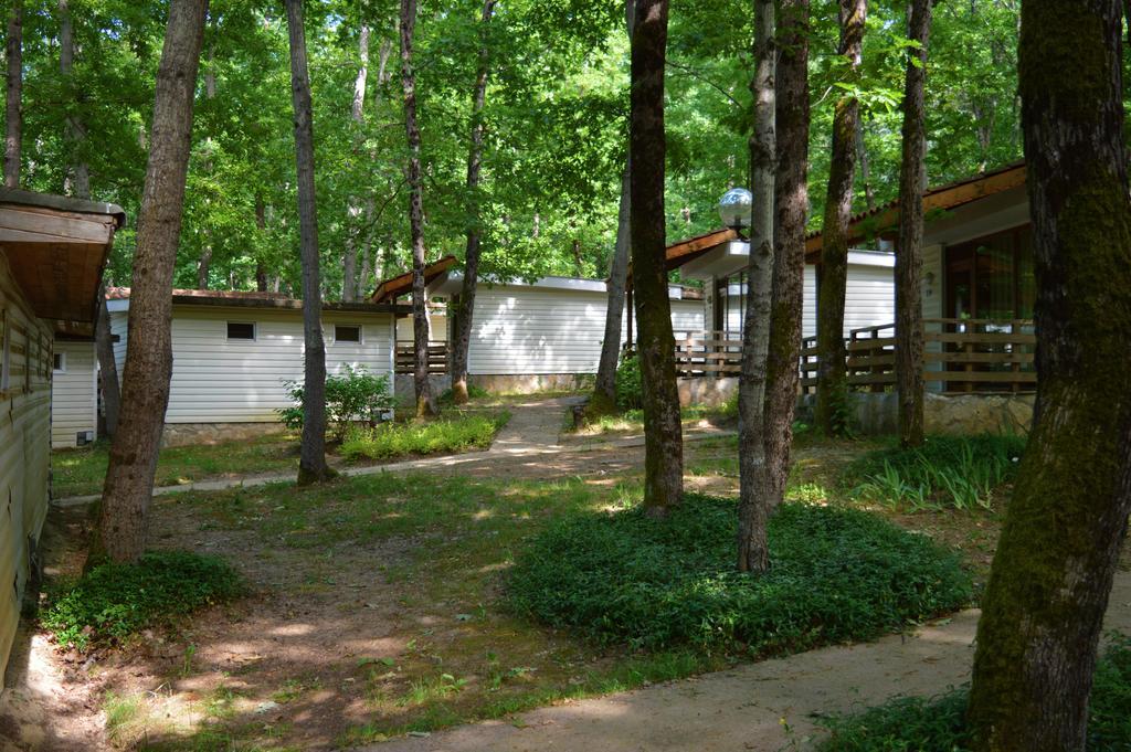 Villas Holidays Primorsko Bagian luar foto