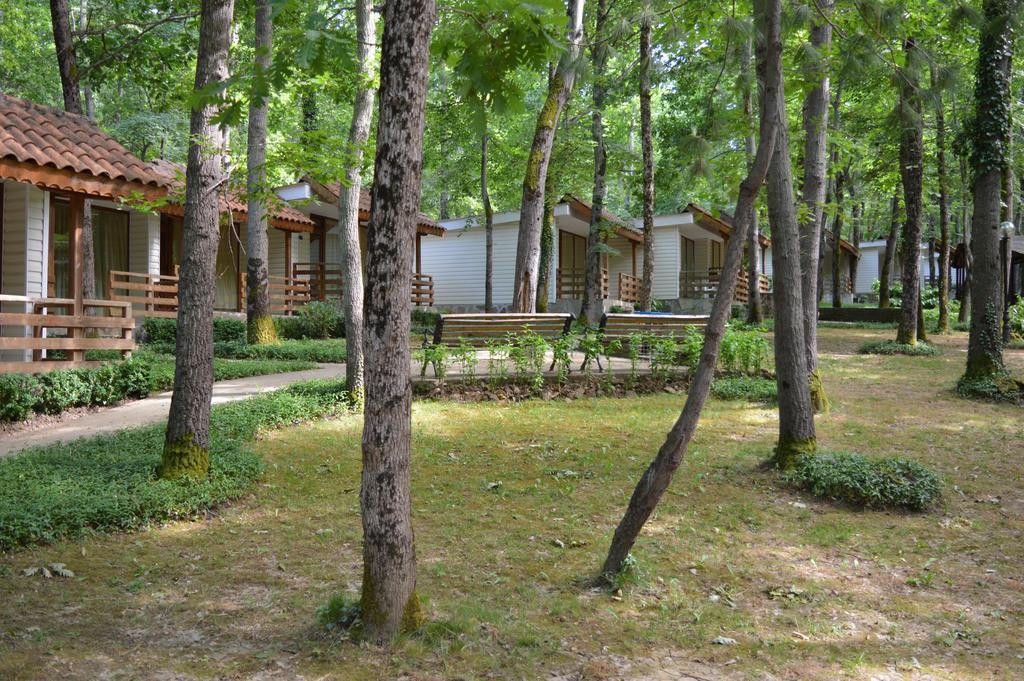 Villas Holidays Primorsko Bagian luar foto